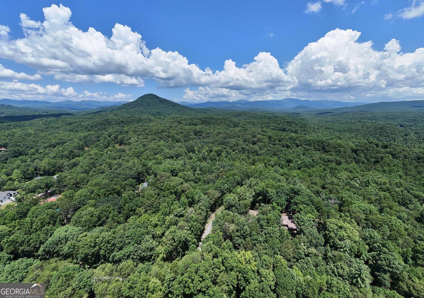 243 Chattahoochee Acres Cleveland - 62