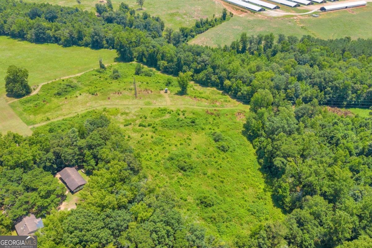 869 Ankerich Road Bowersville - 55