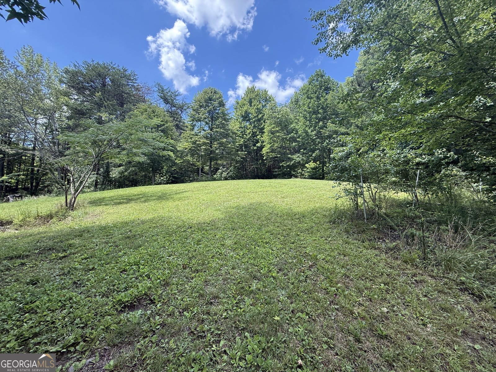 315 Old Ascalon Road Rising Fawn - 37