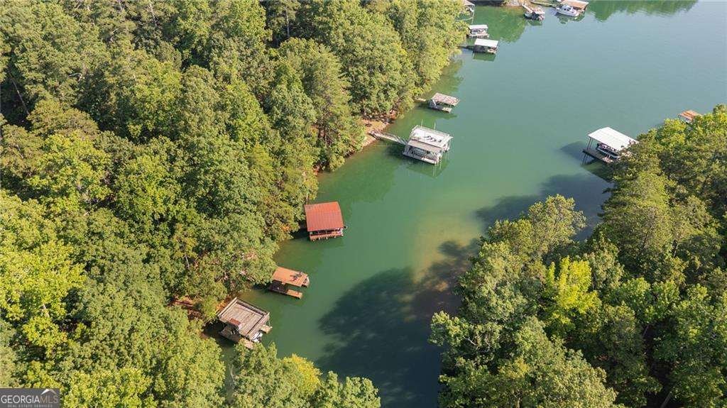 6642 Crestwood Peninsula Flowery Branch - 37