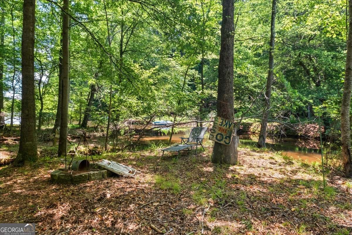 2945 Cardinal Lake Circle Duluth - 23