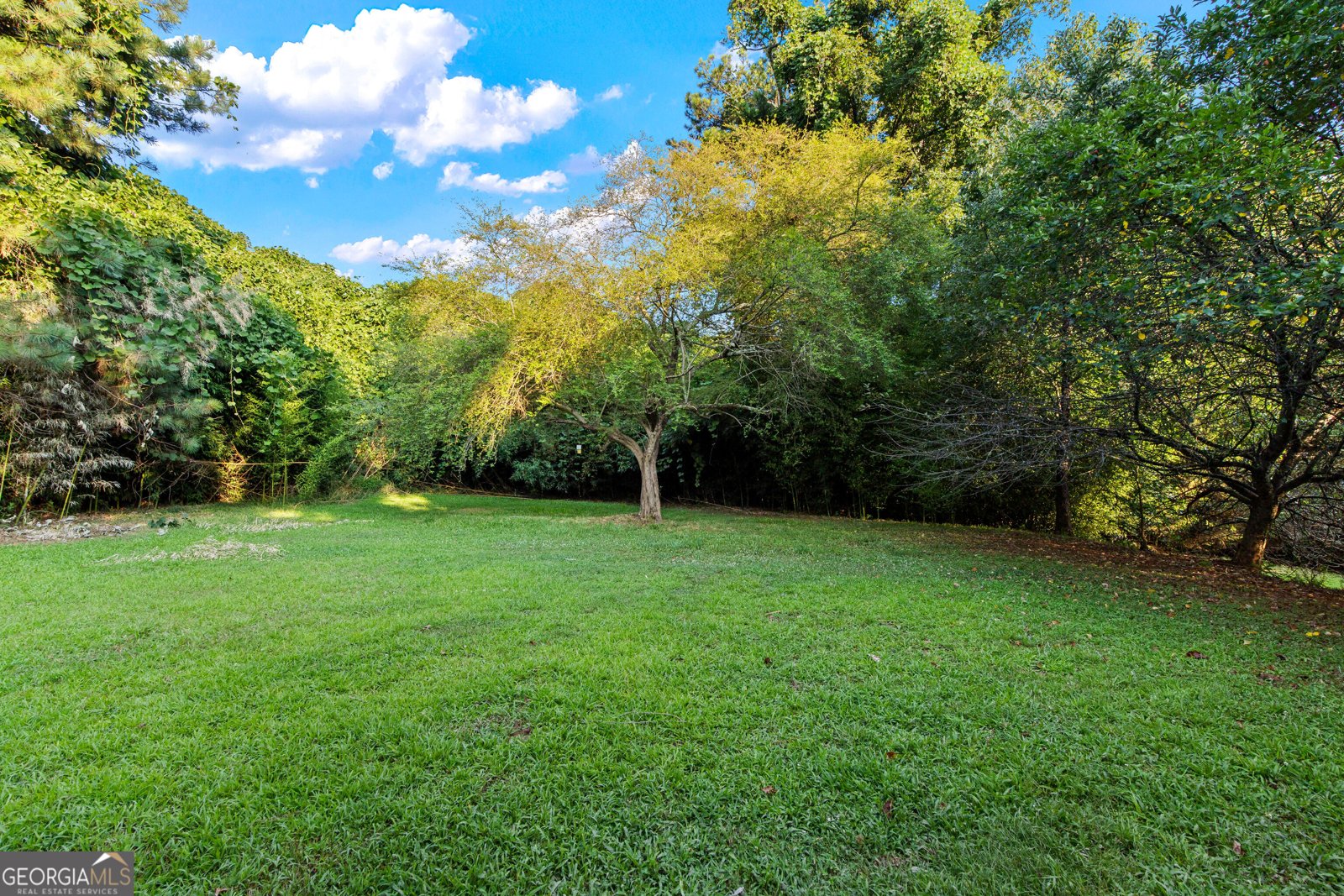 765 Clemson Lane Lawrenceville - 41