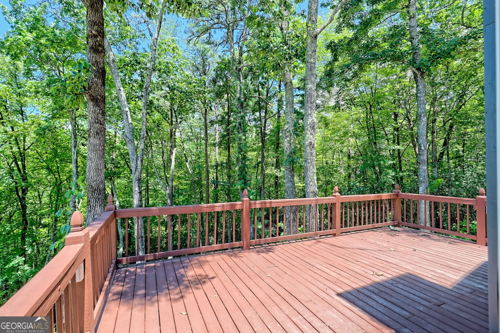 967 Saddle Gap Drive Clayton - 19