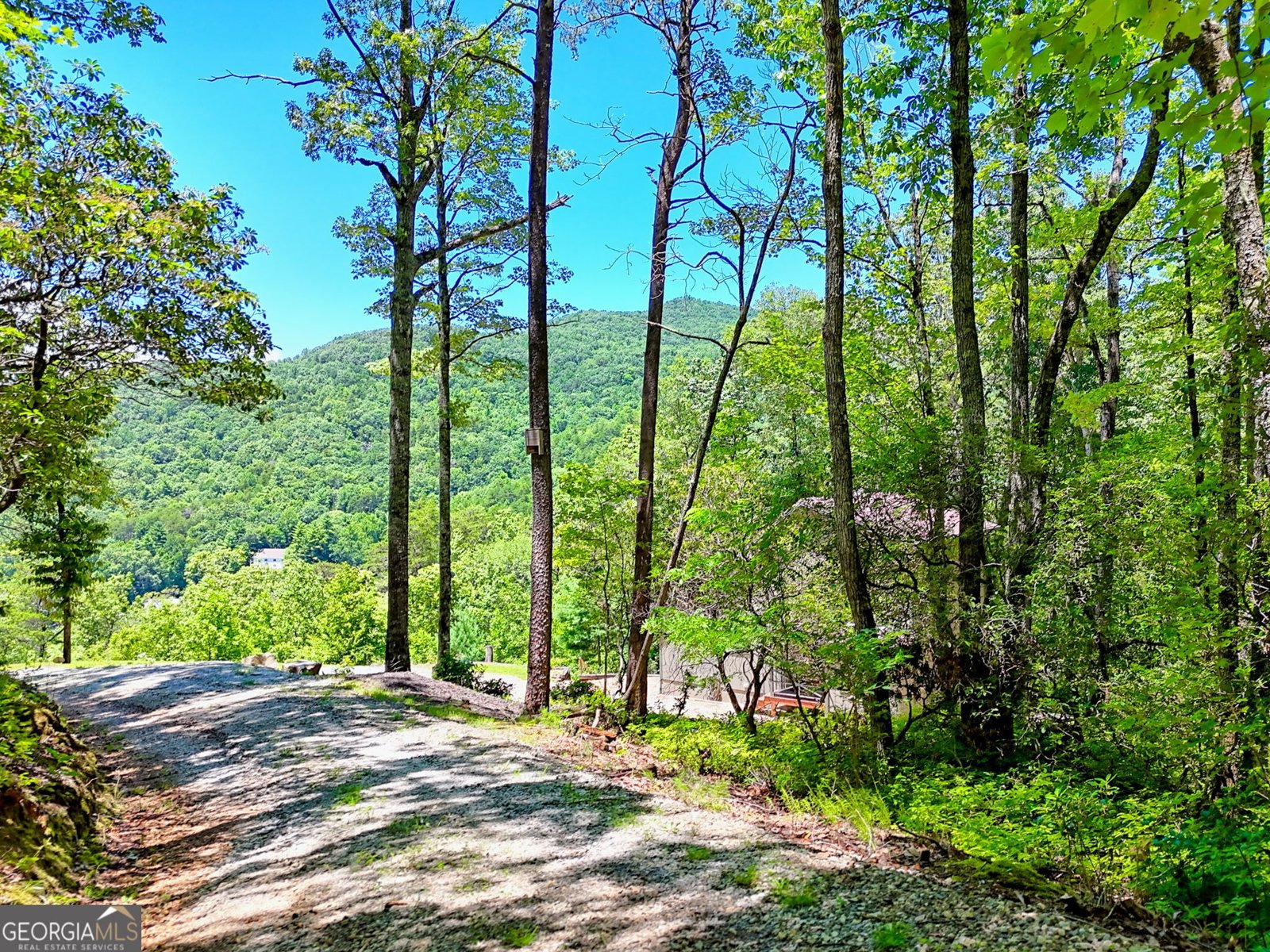 967 Saddle Gap Drive Clayton - 49