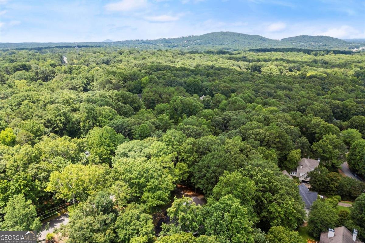 1865 Ledieu Road Roswell - 41