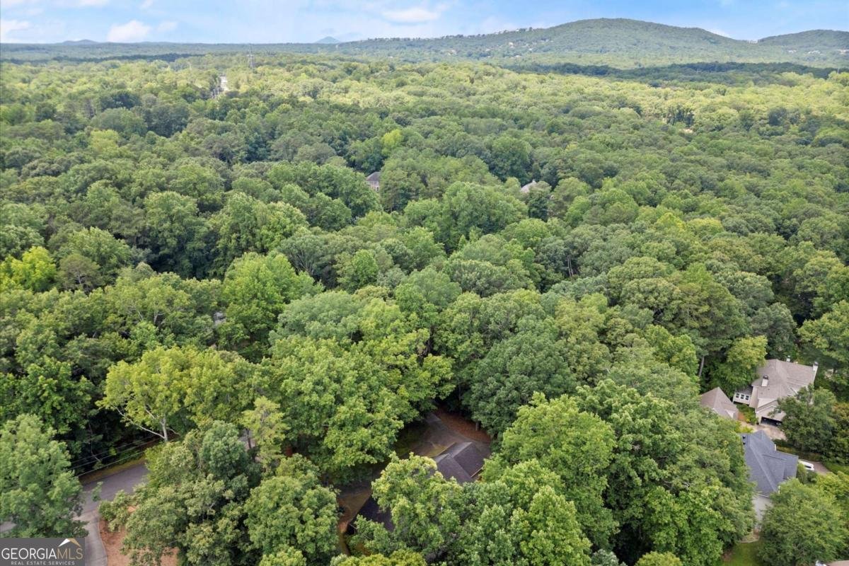 1865 Ledieu Road Roswell - 51