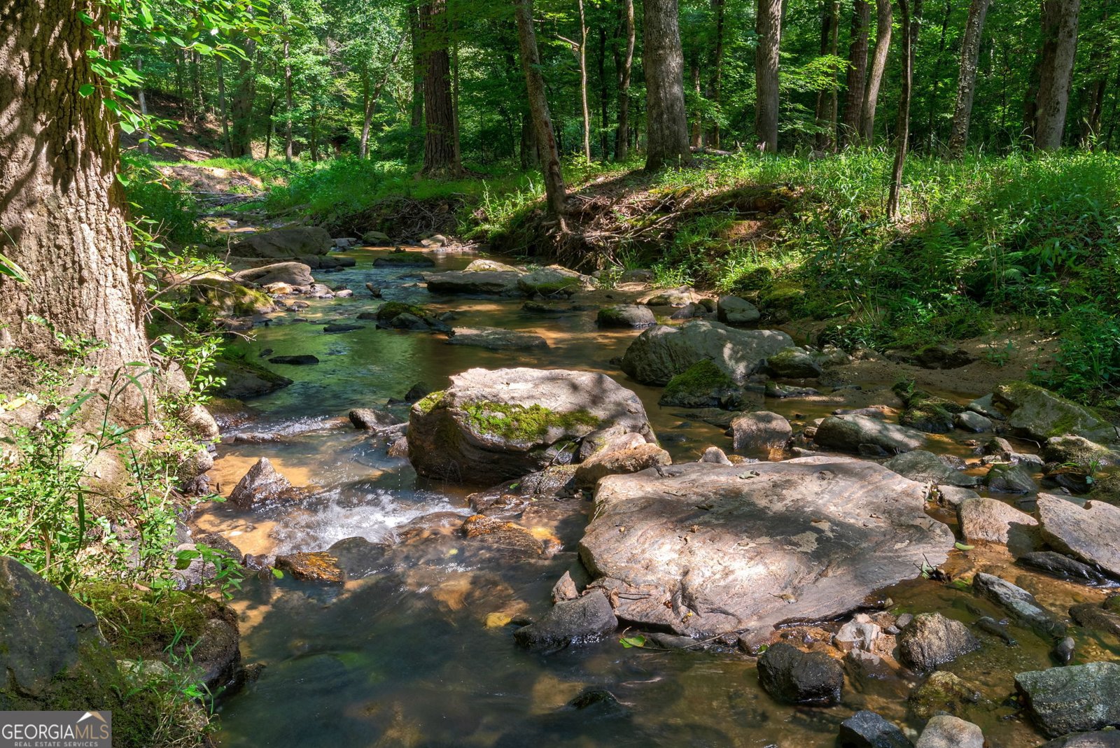1770 Whippoorwill Road Watkinsville - 45