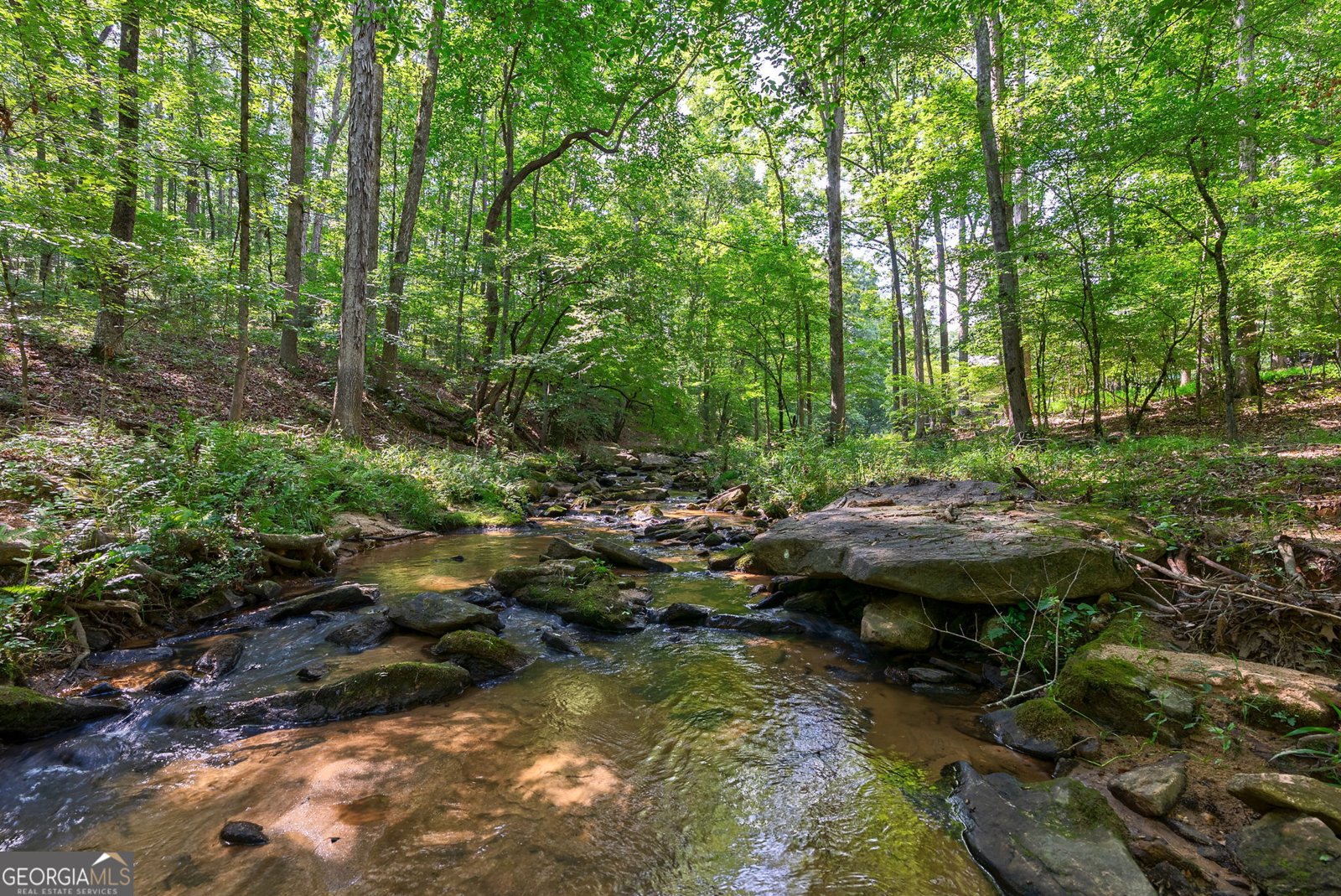 1770 Whippoorwill Road Watkinsville - 48