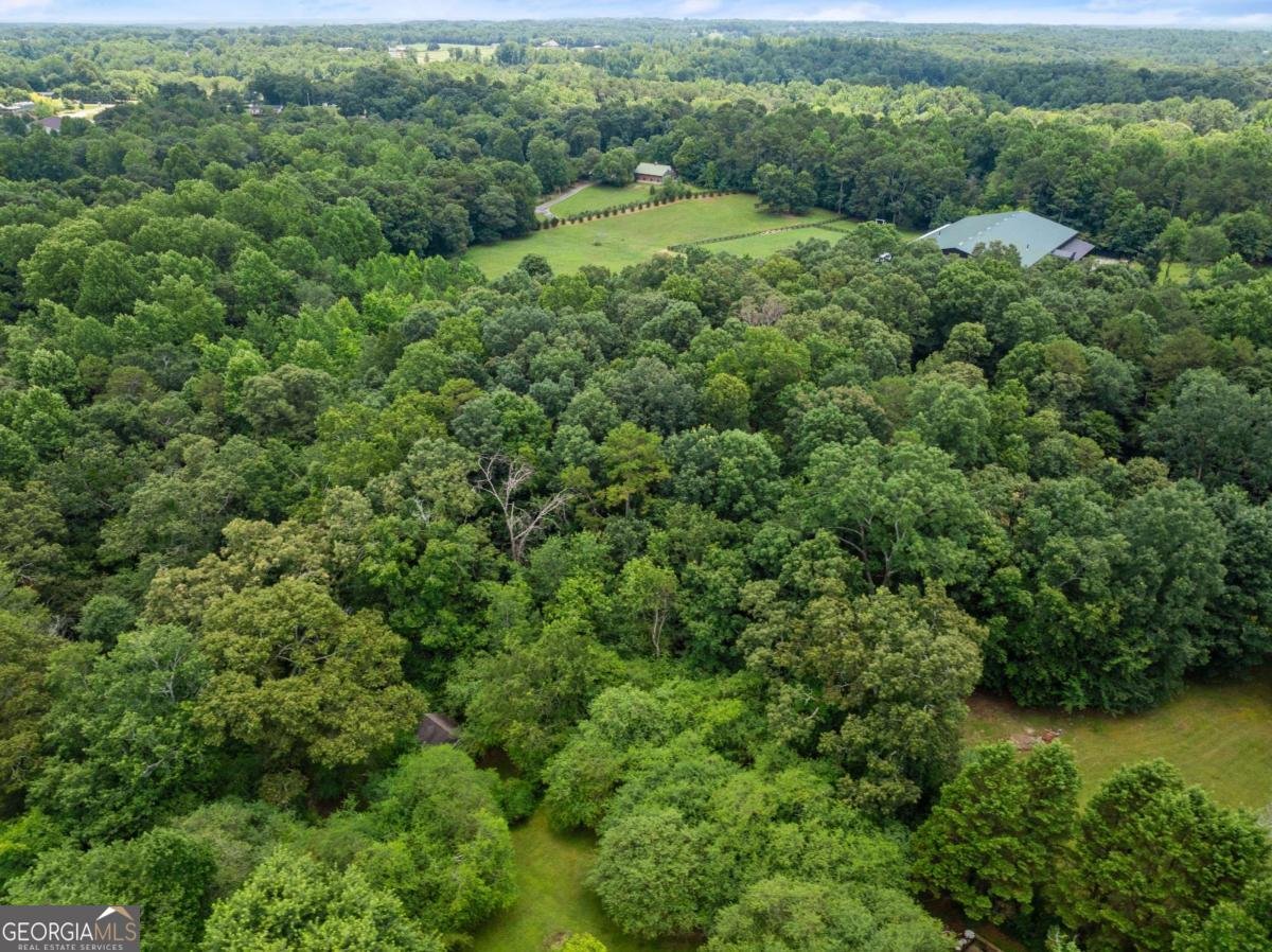 5620 Ransom Free Road Clermont - 2