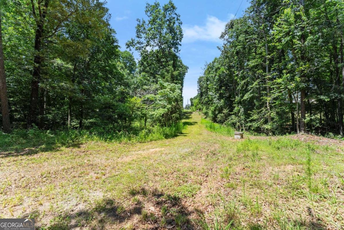 5620 Ransom Free Road Clermont - 61