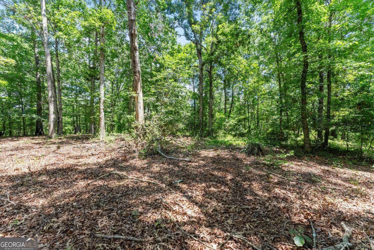 5620 Ransom Free Road Clermont - 63