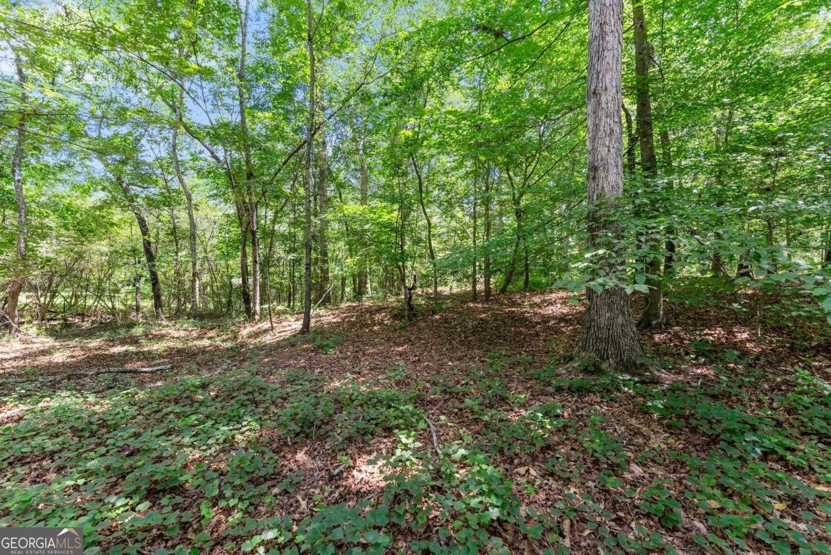 5620 Ransom Free Road Clermont - 64