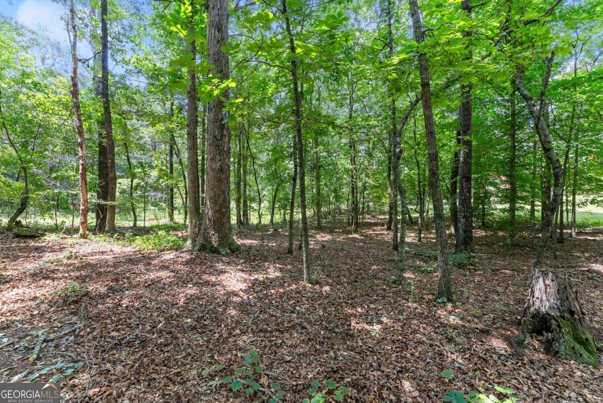 5620 Ransom Free Road Clermont - 65