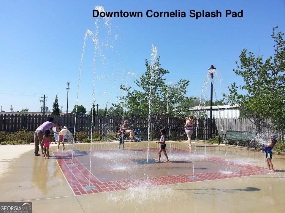 266 Short Avenue Cornelia - 47