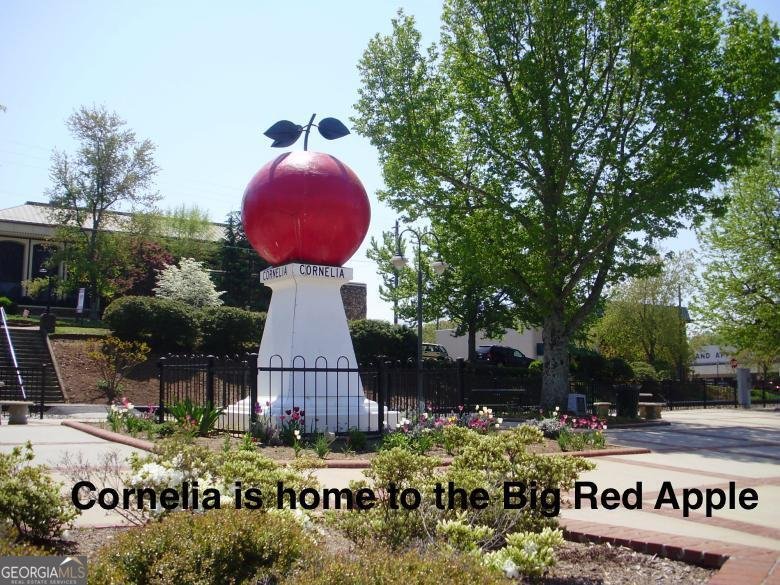 266 Short Avenue Cornelia - 53