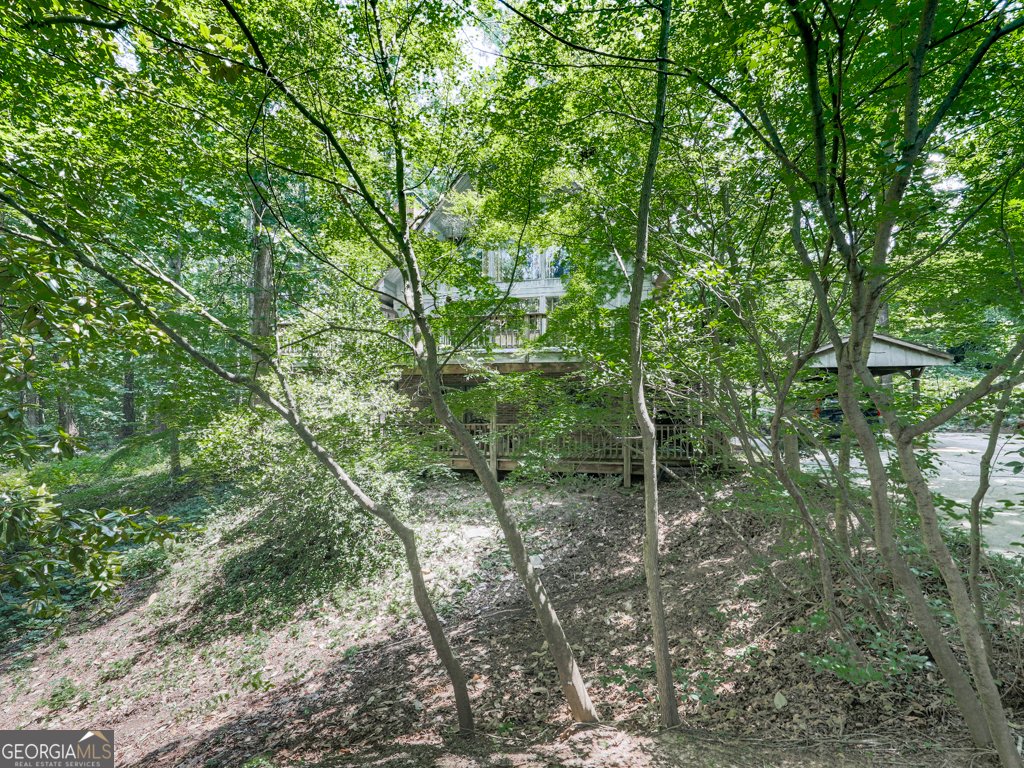 2351 Honeysuckle Lane Smyrna - 21