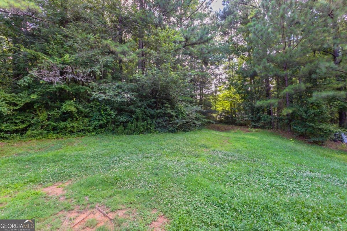 7092 Stonecreek Drive Douglasville - 34