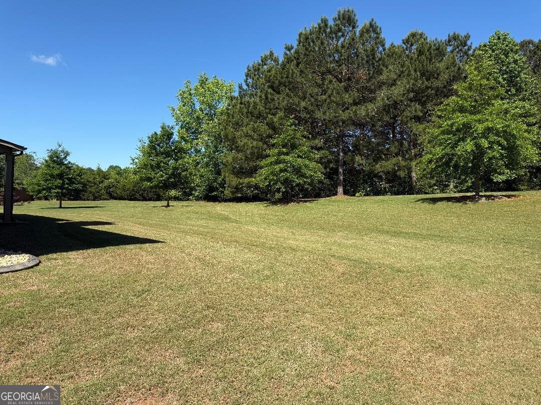 173 Lavender Way McDonough - 10
