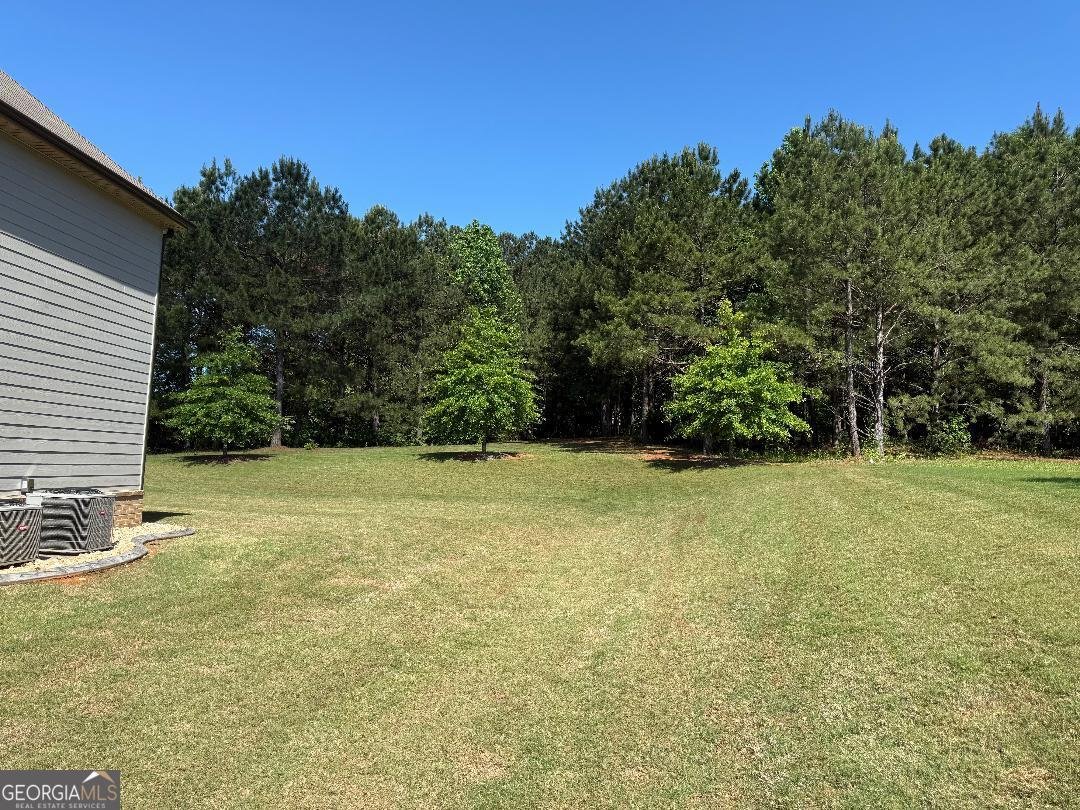 173 Lavender Way McDonough - 11
