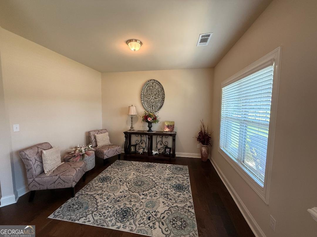 173 Lavender Way McDonough - 23