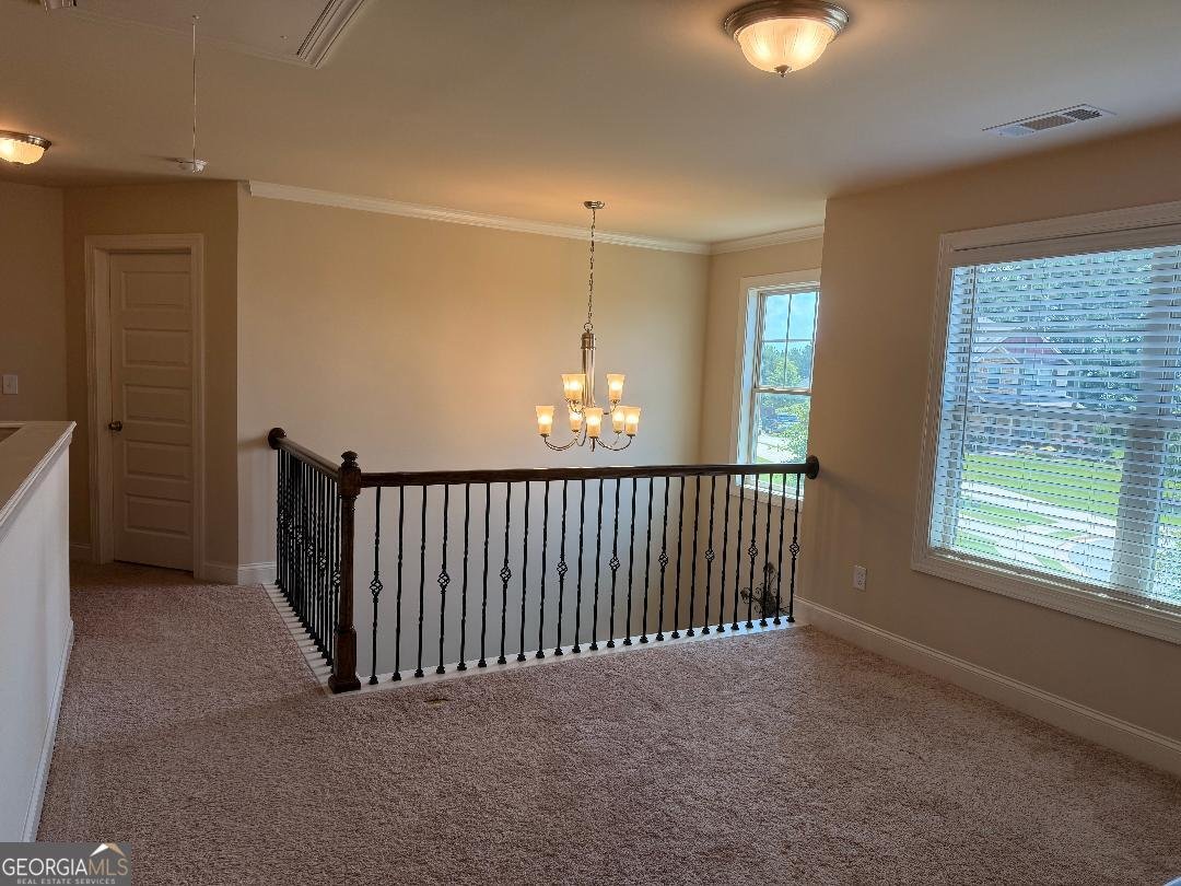 173 Lavender Way McDonough - 35