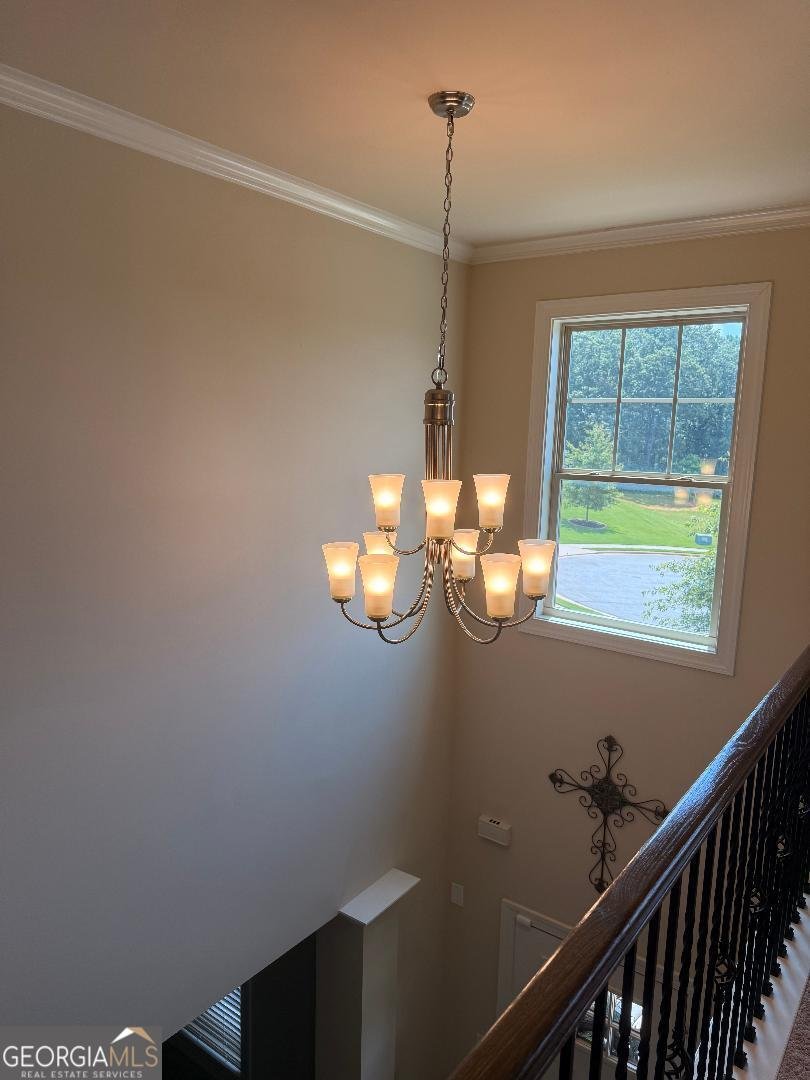 173 Lavender Way McDonough - 37