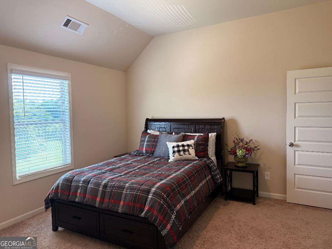 173 Lavender Way McDonough - 38