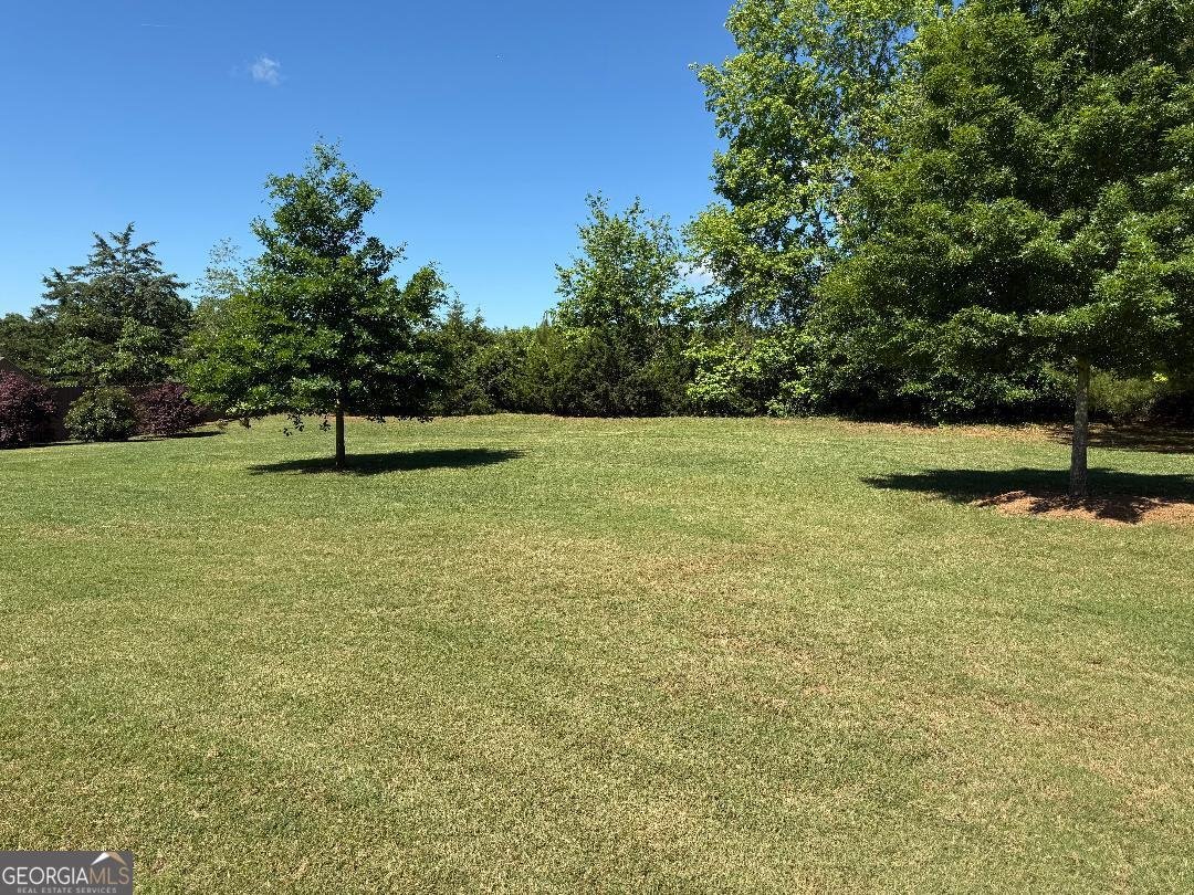 173 Lavender Way McDonough - 8
