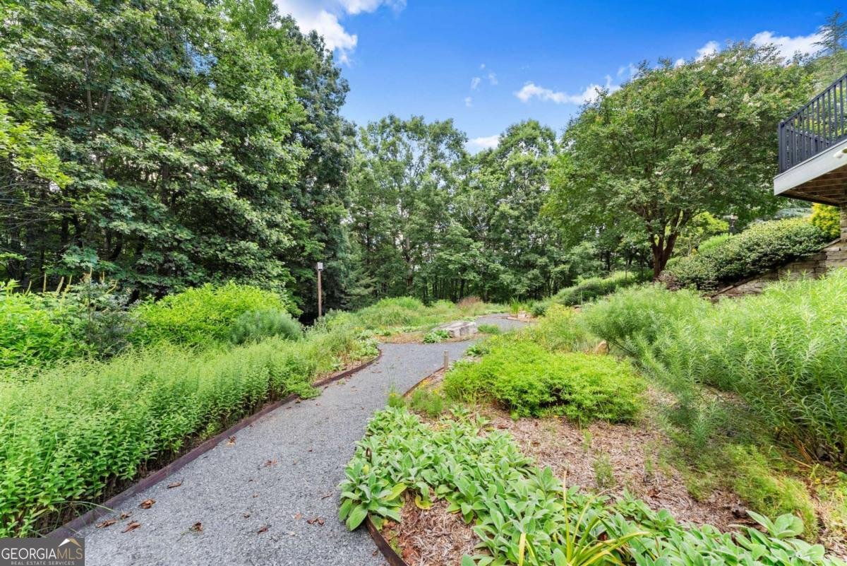 77 Old River Road Dahlonega - 28