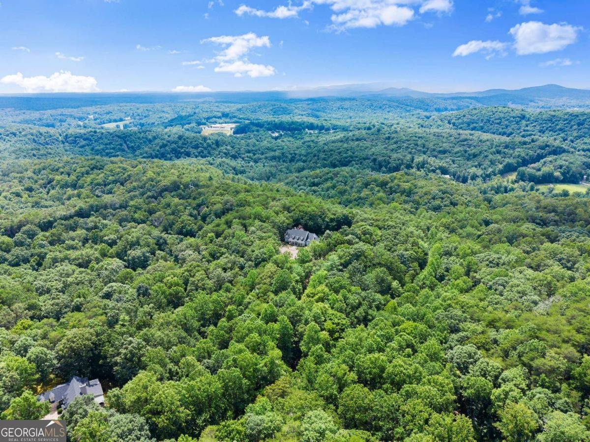77 Old River Road Dahlonega - 35