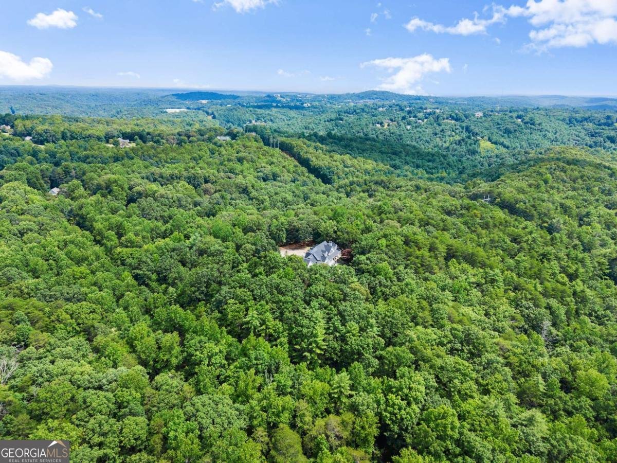 77 Old River Road Dahlonega - 39