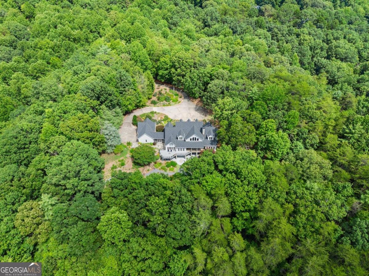77 Old River Road Dahlonega - 86