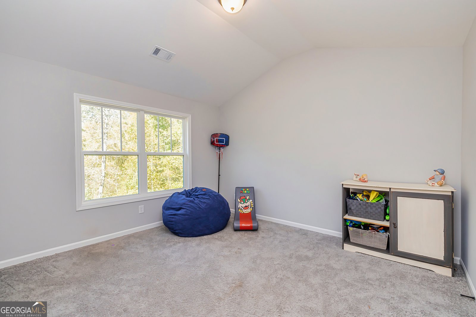 979 Rowe Road Senoia - 20