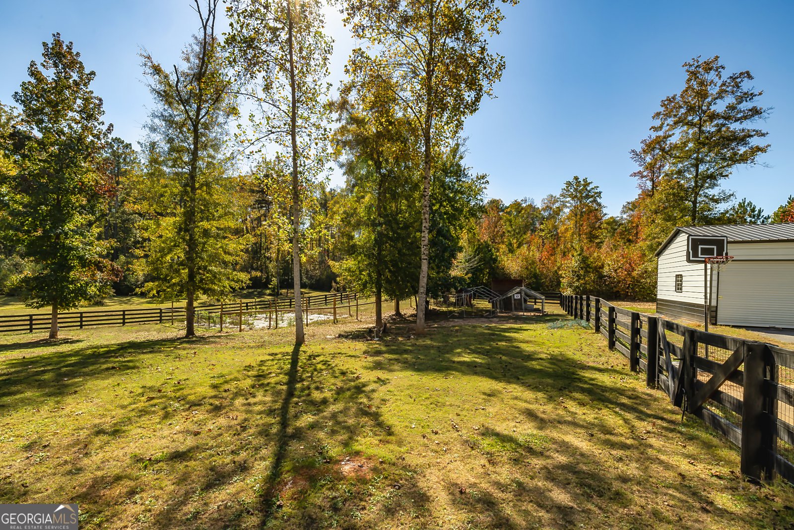 979 Rowe Road Senoia - 24