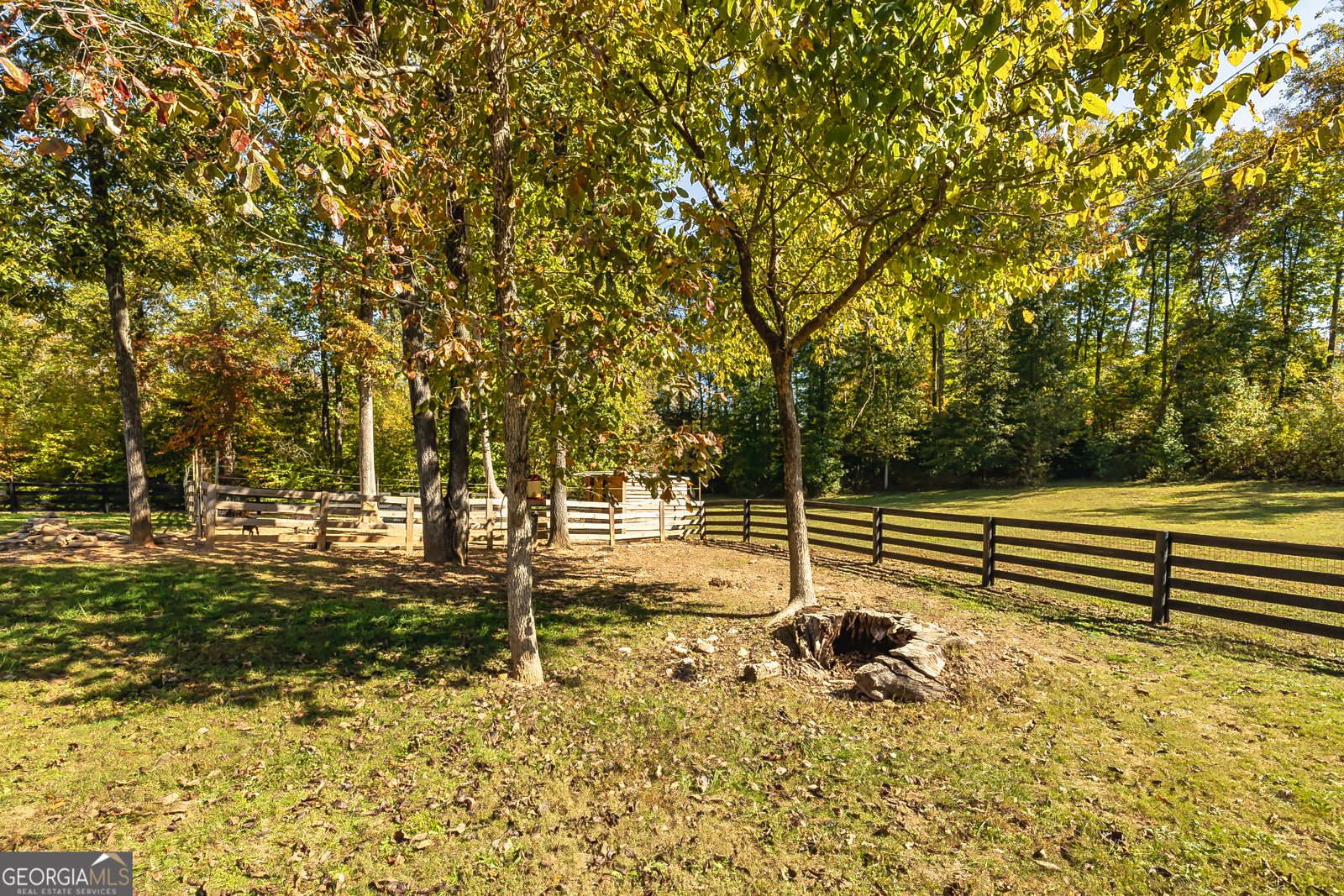 979 Rowe Road Senoia - 28