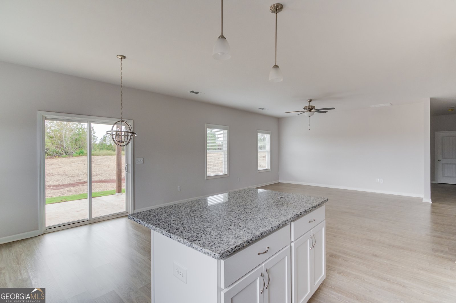 883 Dortch Rd, Lot 31 Eastanollee - 14