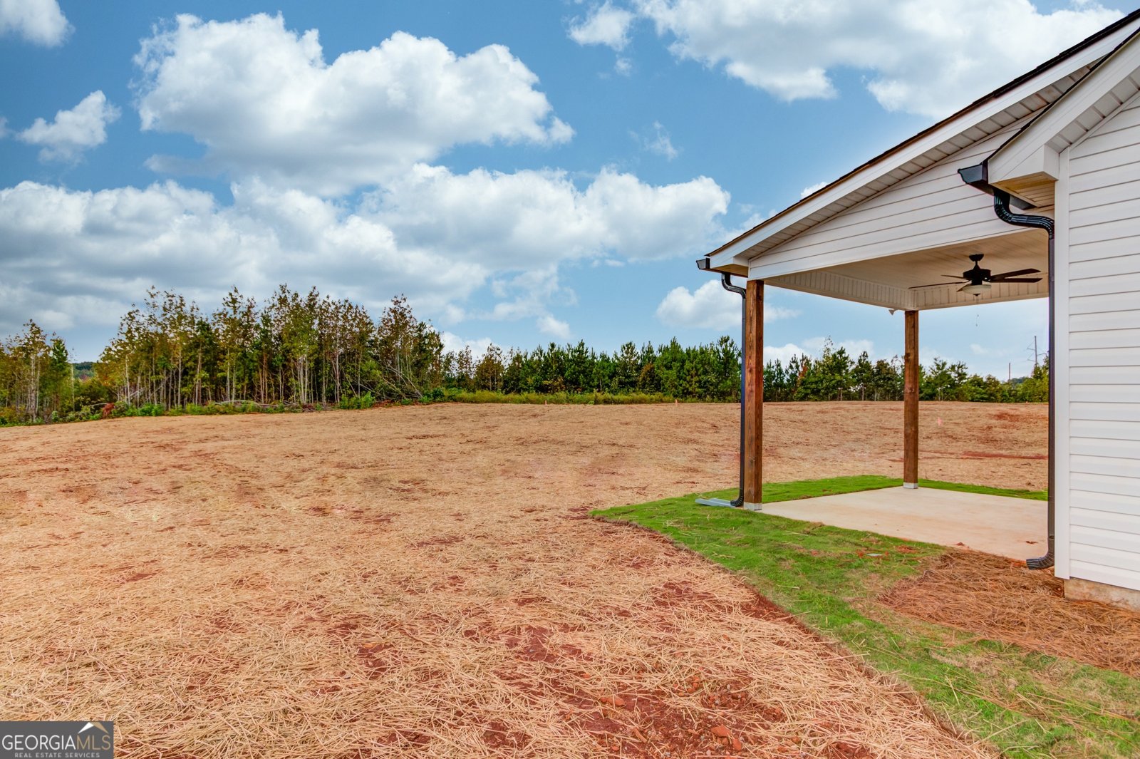 883 Dortch Rd, Lot 31 Eastanollee - 36