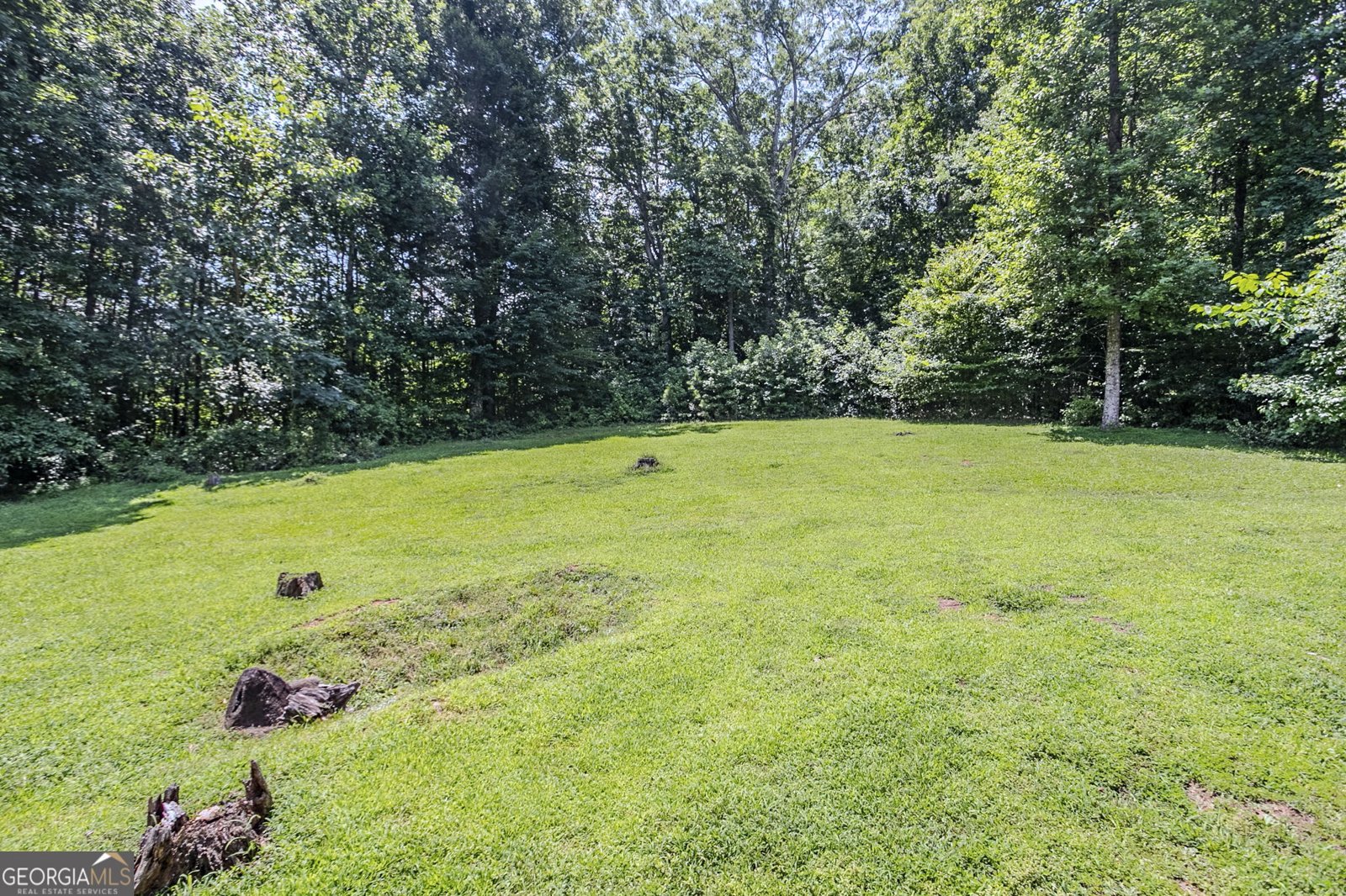 717 Raven Springs Trail Stone Mountain - 44