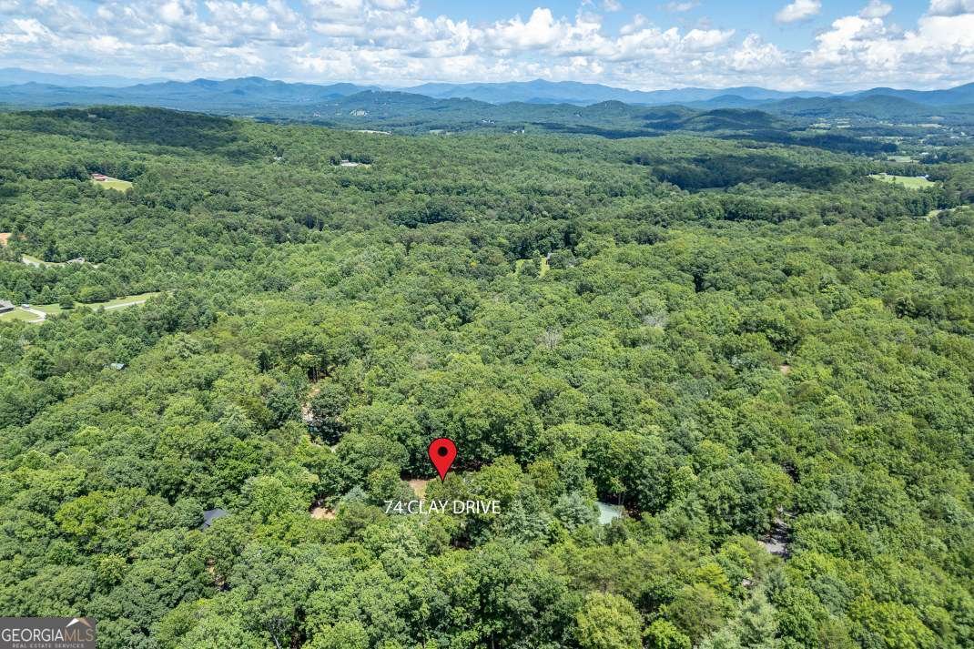74 Clay Drive Blairsville - 54