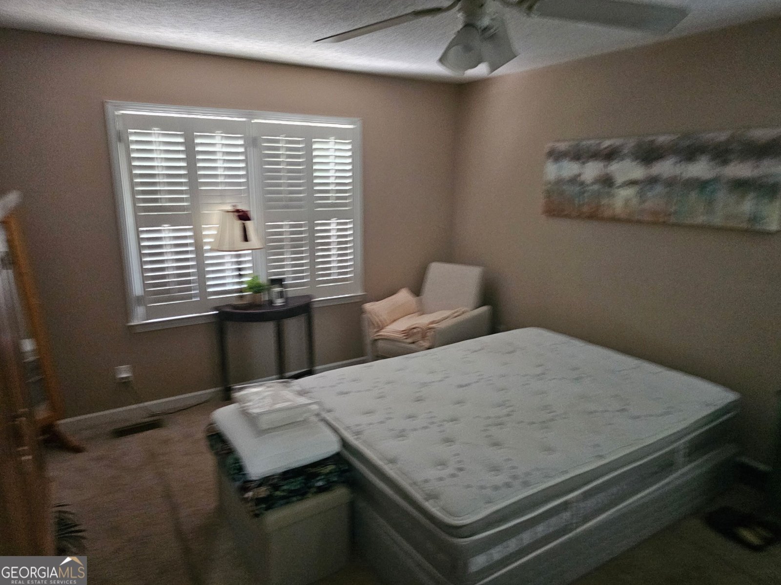 325 Almon Road Carrollton - 8