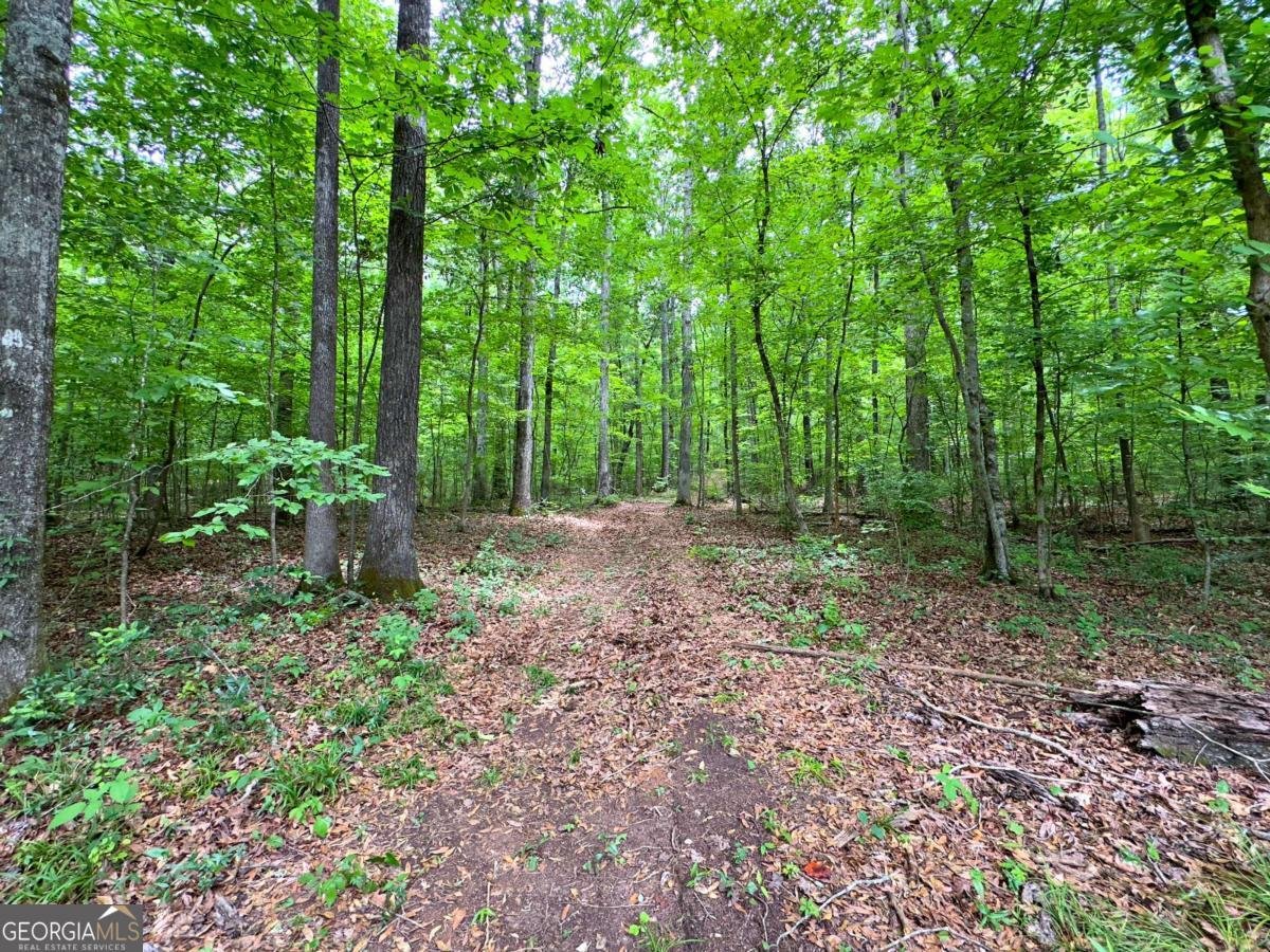 240 Riverview Road Jackson - 20