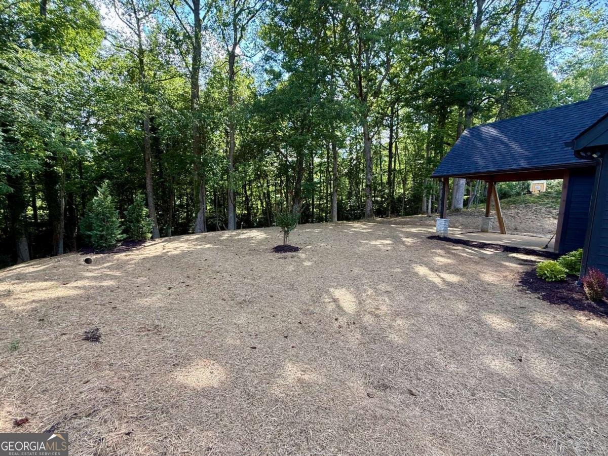 919 Bauer Road Hiawassee - 4