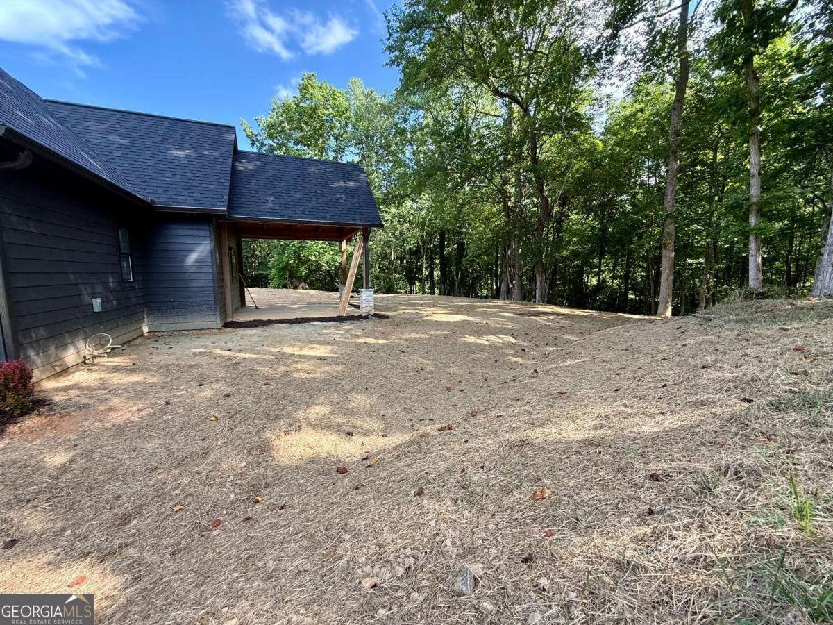 919 Bauer Road Hiawassee - 7