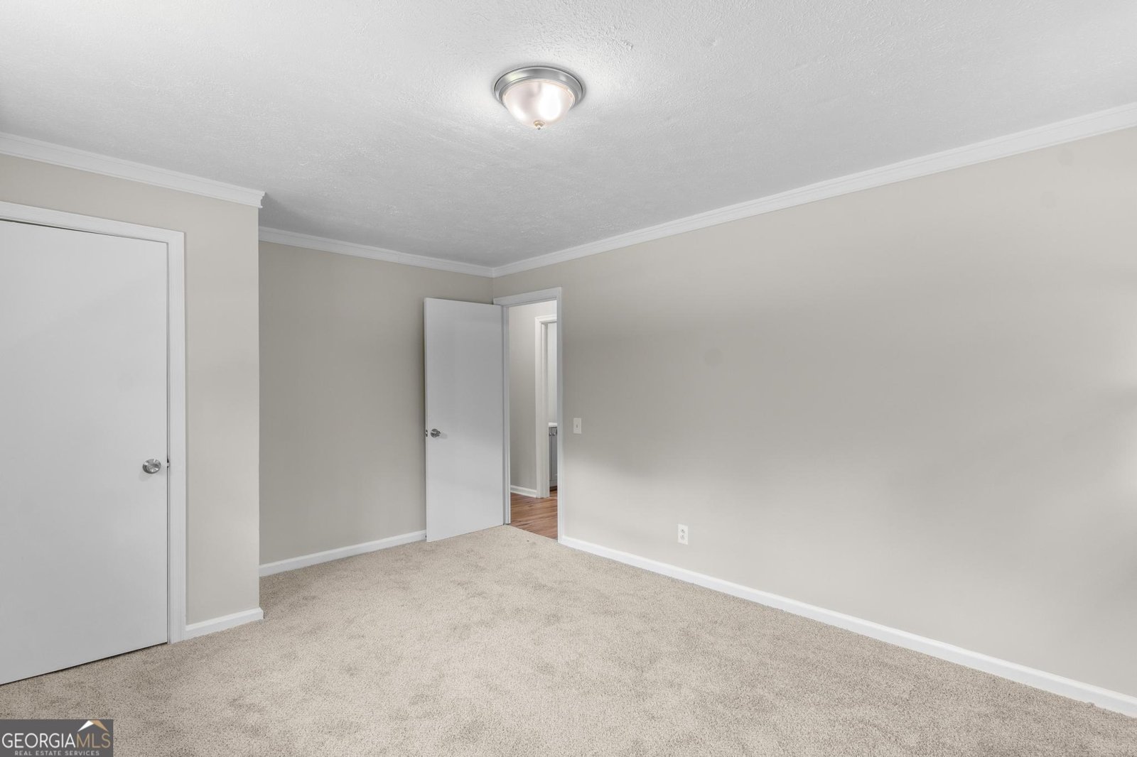 3257 Shady Grove Road Carrollton - 20