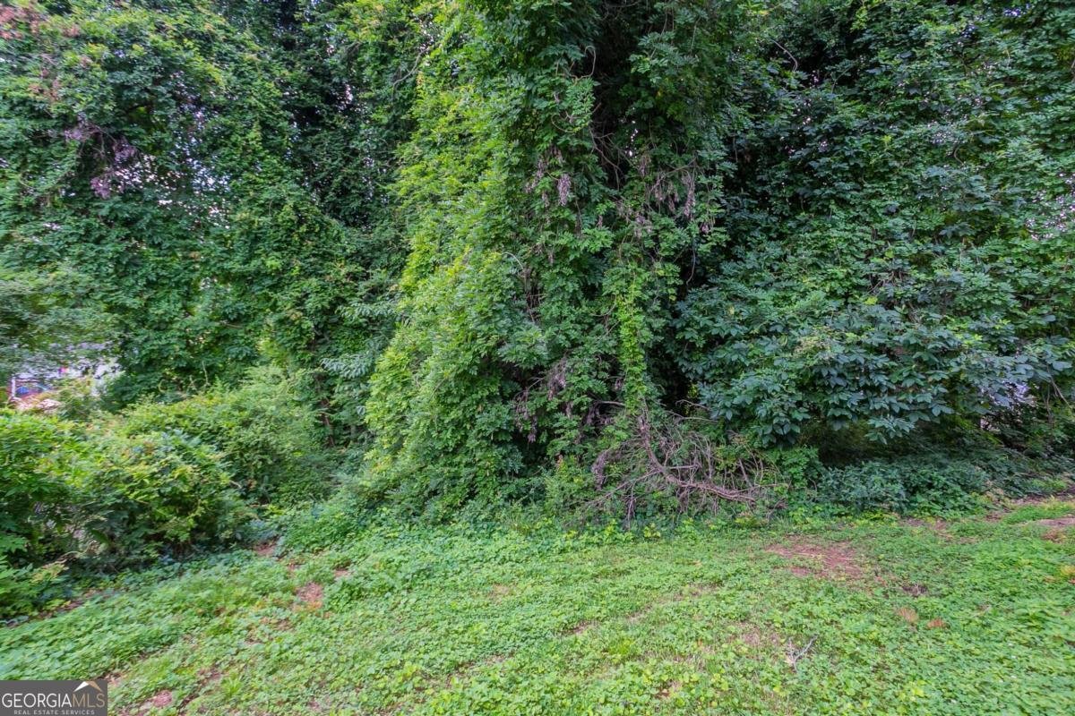 4745 Hairston Crossing Road Stone Mountain - 34
