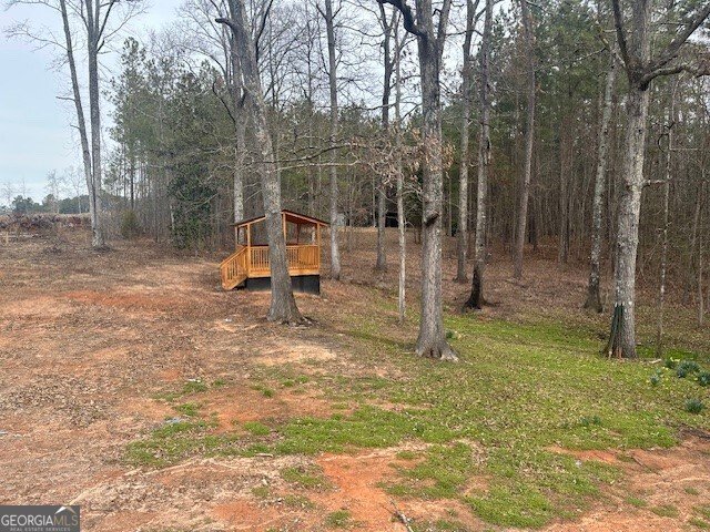 651 Dutchman Road Griffin - 12