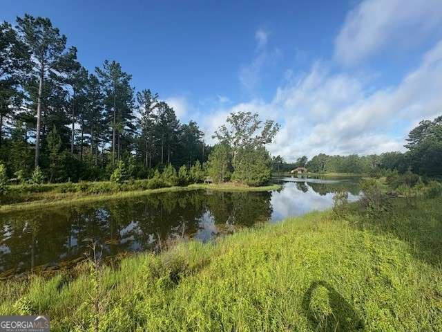 217 Park View Lane Kingsland - 11