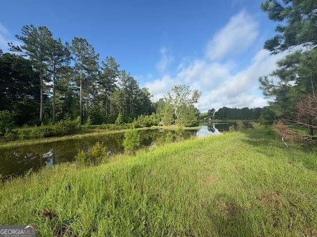 217 Park View Lane Kingsland - 12