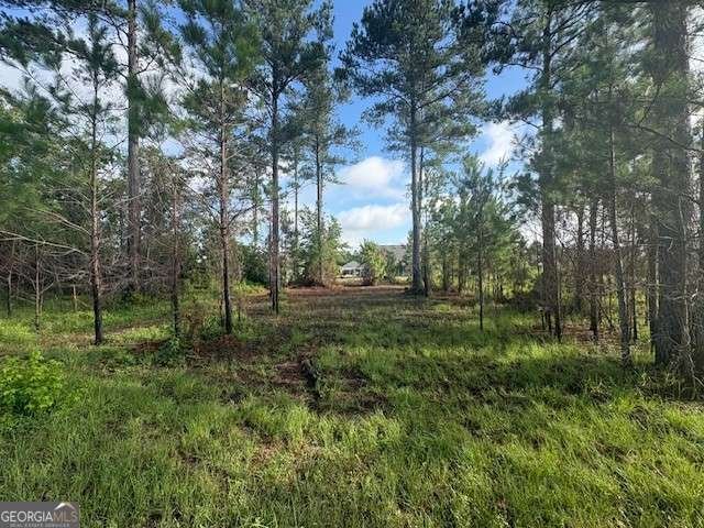 217 Park View Lane Kingsland - 13