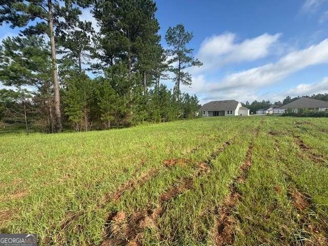 217 Park View Lane Kingsland - 14